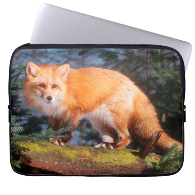 Roter Fox auf einem log Laptopschutzhülle (Vorderseite)