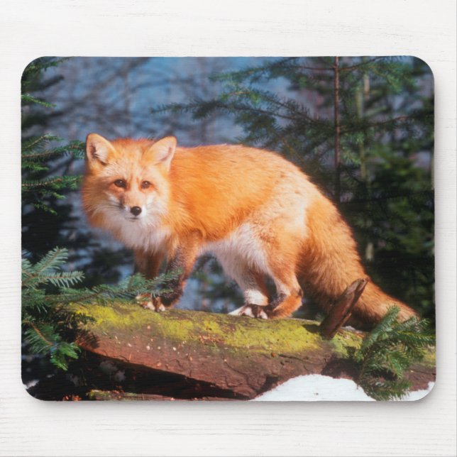 Roter Fox auf einem log Mousepad (Vorne)