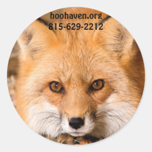 Roter Fox-Aufkleber Runder Aufkleber
