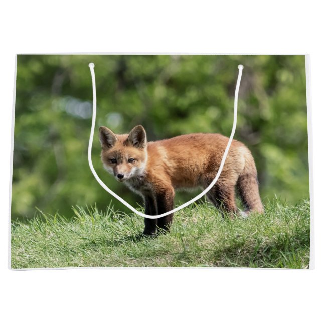 Roter Fox-Ausrüstung Große Geschenktüte (Vorderseite)