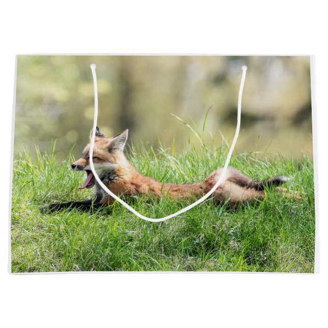 Roter Fox-Ausrüstung Große Geschenktüte (Vorderseite)