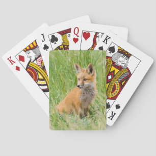 Roter Fox-Ausrüstung im Gras nahe Höhle Spielkarten