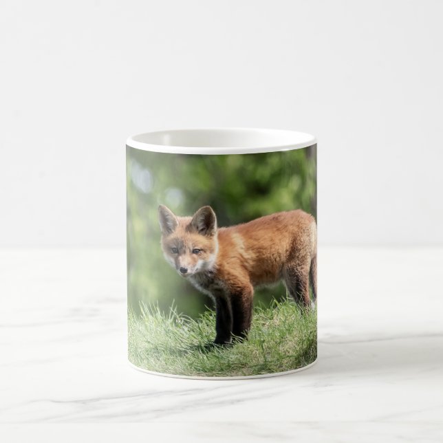 Roter Fox-Ausrüstung Kaffeetasse (Mittel)