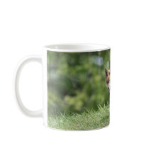 Roter Fox-Ausrüstung