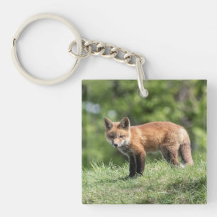 Roter Fox-Ausrüstung Schlüsselanhänger