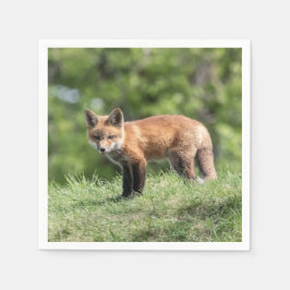 Roter Fox-Ausrüstung Serviette