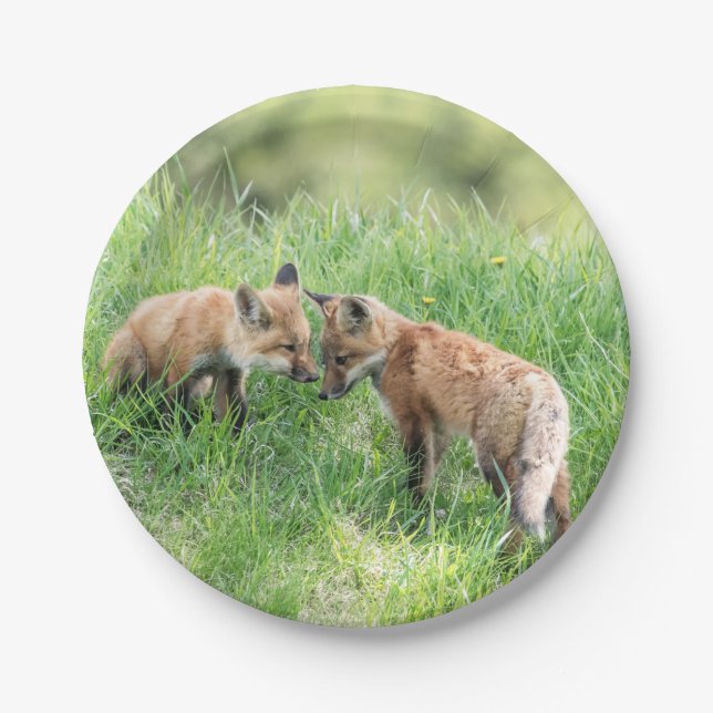 Roter Fox-Ausrüstungen Pappteller (Vorderseite)