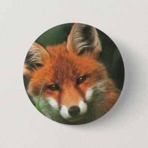 Roter Fox Button