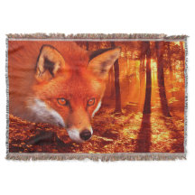 Roter Fox