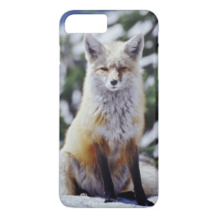 Roter Fox, der auf Schneebank, Vulpes, Mt. sitzt Case-Mate iPhone Hülle