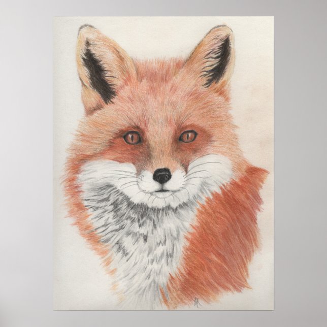 Roter Fox Farbstift Zeichnend Druck Poster (Vorne)