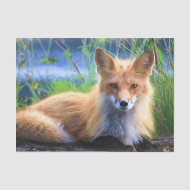 Roter Fox im Gras Landschaftliche Tierwelt Seidenpapier (Vorderseite)