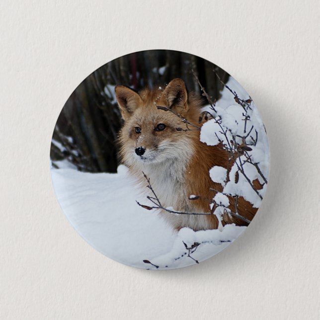 Roter Fox im Schnee Button (Vorderseite)