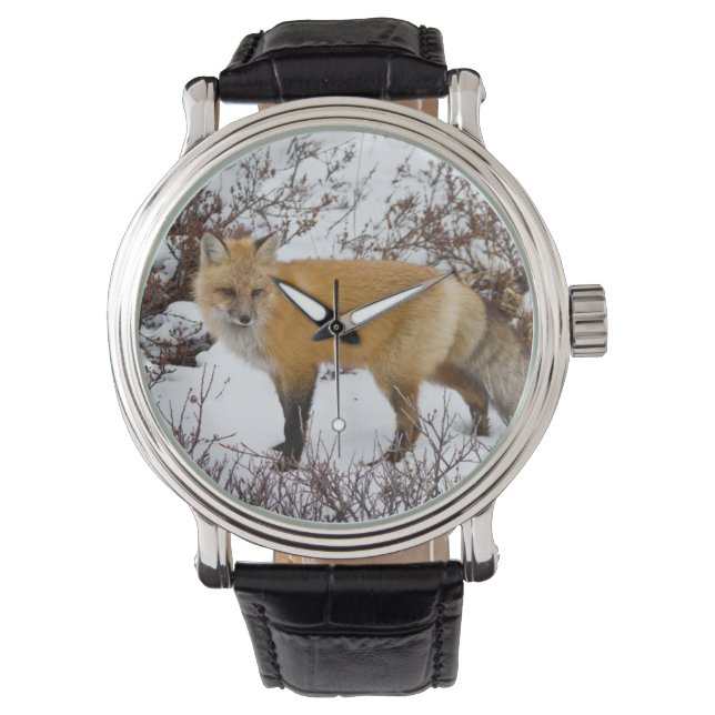 Roter Fox im Winter Armbanduhr (Vorderseite)