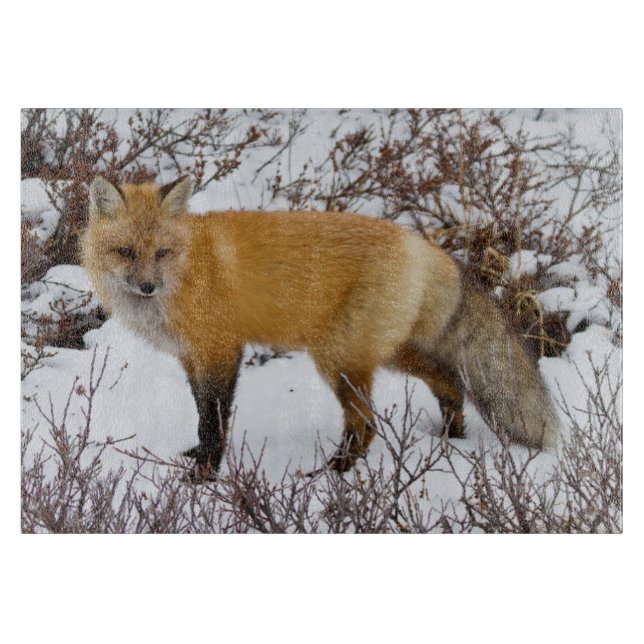 Roter Fox im Winter Schneidebrett (Vorderseite)