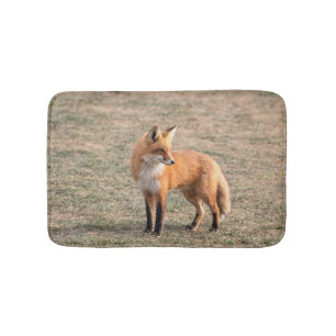 Roter Fox in einem Feld Badematte