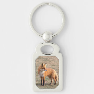 Roter Fox in einem Feld Schlüsselanhänger