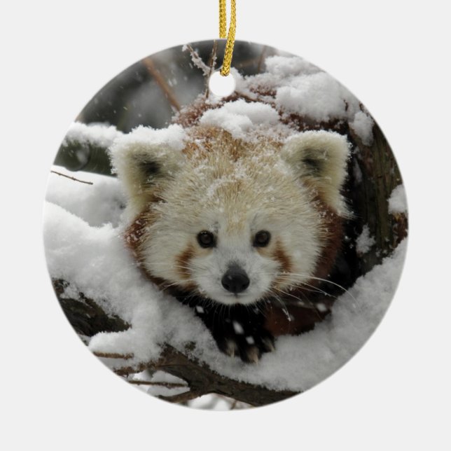Roter Fox-Panda Bearcub Keramik Ornament (Vorne)