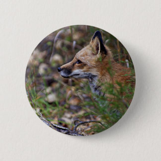 Roter Fox - Profil eines Fox Button