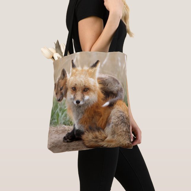 Roter Fox und Baby Tasche (Von Nahem)