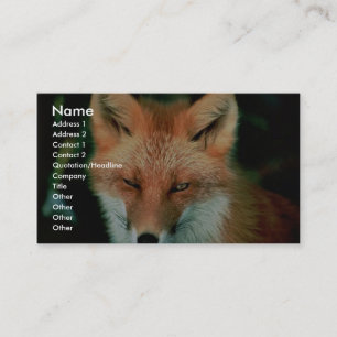 Roter Fox Visitenkarte