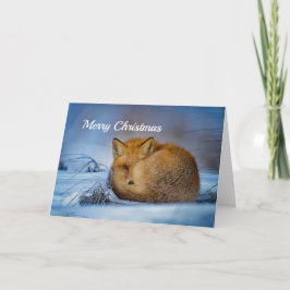Roter Fox-Weihnachten Feiertagskarte