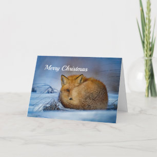 Roter Fox-Weihnachten Feiertagskarte