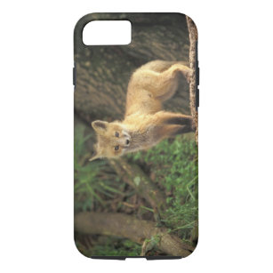 Roter Fox-Welpe vor Höhle (Vulpes Vulpes) Case-Mate iPhone Hülle