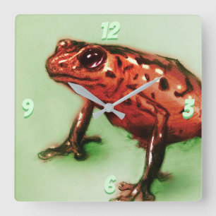 Roter Frosch-Quadrat-Uhr, Wildtierskizze in grüner Quadratische Wanduhr