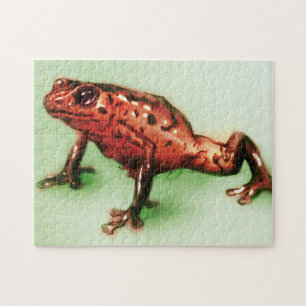 Roter Frosch, Wildtierskizze in Grün und Rot
