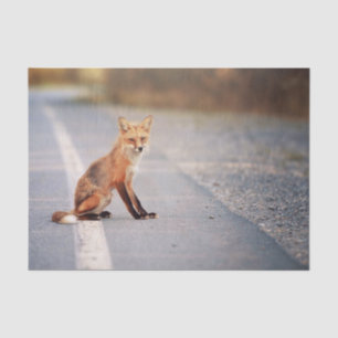 Roter Fuchs auf der Straßenseite Seidenpapier
