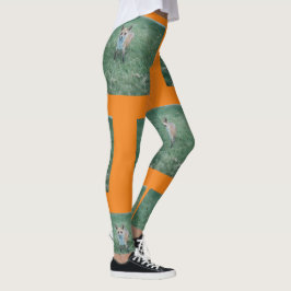 Roter Fuchs auf Gras im Park, Wiederholung Leggings
