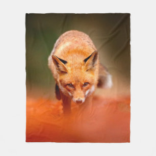 Roter Fuchs auf orangefarbenen Herbstblättern. Nie Fleecedecke