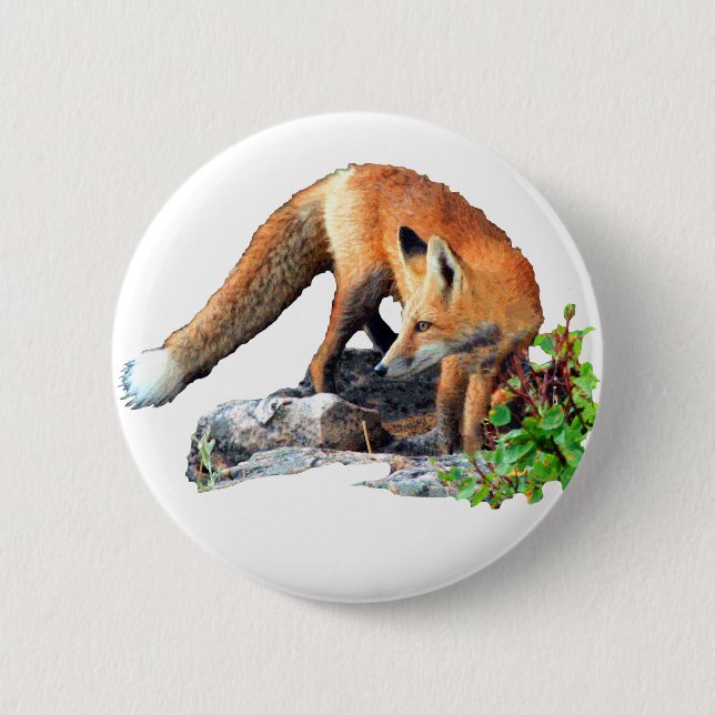 Roter Fuchs Button (Vorderseite)