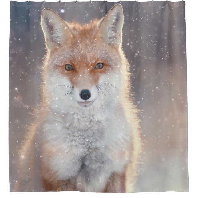 Roter Fuchs, Winterwald, landschaftliche Illustrat Duschvorhang (Vorderseite)