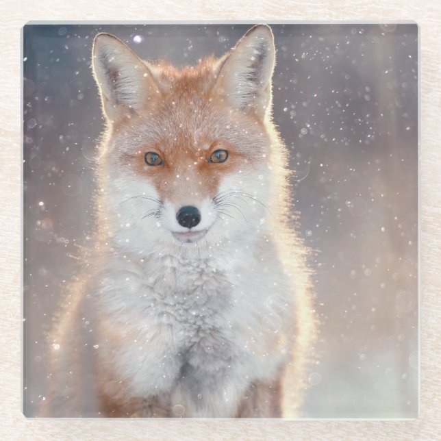 Roter Fuchs, Winterwald, landschaftliche Illustrat Glasuntersetzer (Vorderseite)