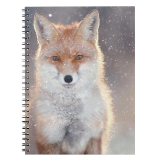 Roter Fuchs, Winterwald, landschaftliche Illustrat Notizblock