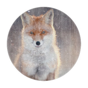 Roter Fuchs, Winterwald, landschaftliche Illustrat Schneidebrett