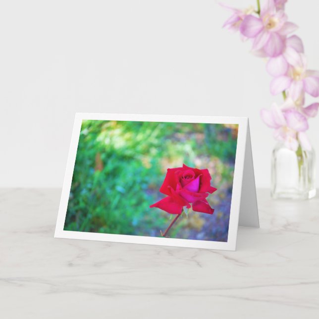 Roter Garten Rose Portrait Karte (Orchidee)