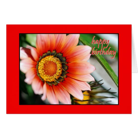 Roter Gazania-alles Gute zum Geburtstag Karte