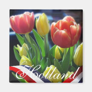 Roter gelber niederländischer magnet