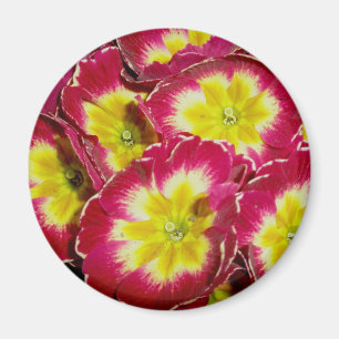 Roter gelber Primel-Magnet Magnet