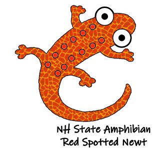 Roter Gepunkteter Newt auf dem Waldboden schwarz Case-Mate iPhone Hülle