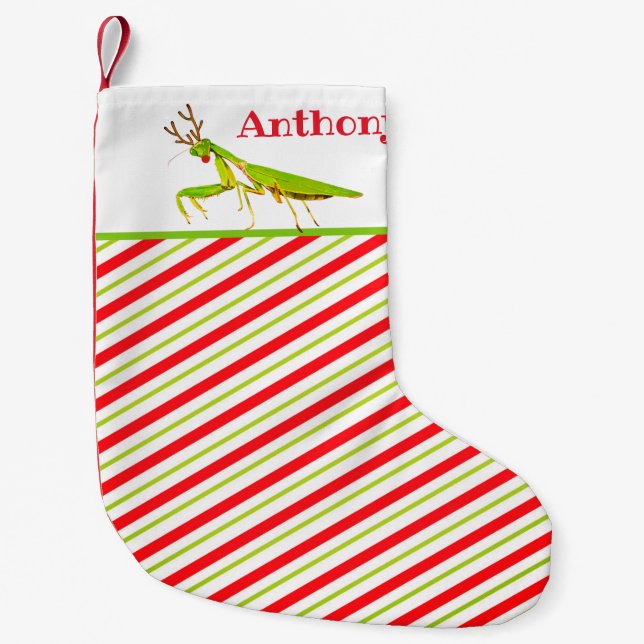 Roter gerochener betender Mantis-sonderbarer Kleiner Weihnachtsstrumpf (Vorderseite)