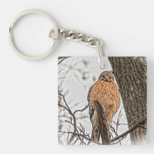 Roter geschulterter Falke in einem Baum Schlüsselanhänger