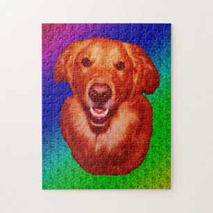 Roter Golden Retriever Frontansicht