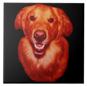 Roter Golden Retriever Hundeliebhaber Küche Fliese