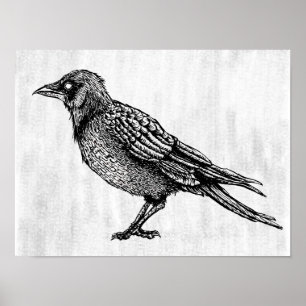 Roter gotischer Schwarz-Weiß-Horror-Tinte Zeichnen Poster