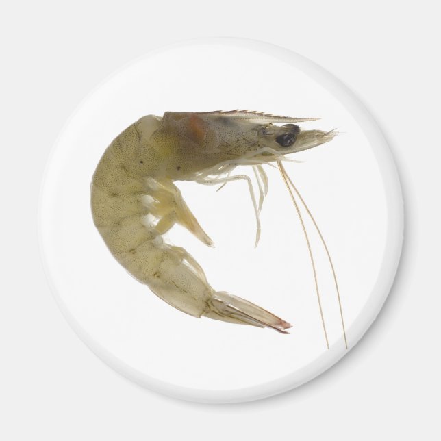 Roter Graugarn Magnet (Vorne)