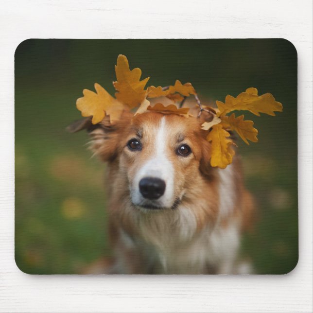 Roter Grenzcollie mit einer Girlande des Mousepad (Vorne)